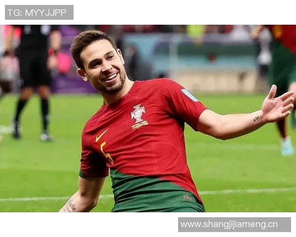 葡萄牙足球队在欧洲杯上团结奋战实现历史性夺冠的辉煌之路