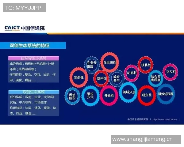 替补赛事计划的创新与实施策略探讨与展望